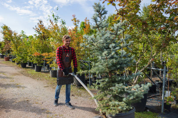 Best Tree Trimming and Pruning  in Laguna Heights, TX